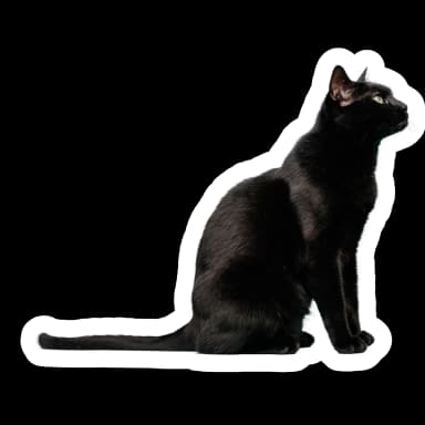 Cat Sticker
